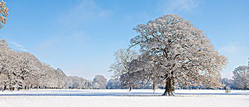 利物浦胜利在望，球队全力冲击联赛冠军