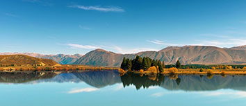 超级巨星展现统治力，领导球队夺冠