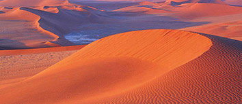 博洛尼亚队客场不敌强敌，需寻求突破口